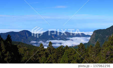 Mountain Sea of Clouds in Alishan Taiwan 137062256