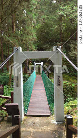 Suspension Bridge Entrance in Alishan National Forest Taiwan 137062288