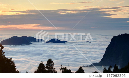 Sunrise Over Sea of Clouds in Alishan National Forest Taiwan 137062293