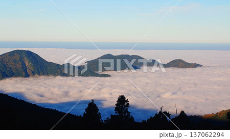 Sunrise Over Sea of Clouds in Alishan National Forest Taiwan 137062294