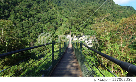 Long Suspension Bridge Through Butterfly Valley Forest in Hualien Taiwan 137062356