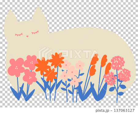 ピンクのお花畑で眠るネコ 137063127