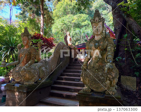 Twin Temple Guardian Statues in Doi Suthep Forest Chiang mai, Thailand Twin Temple Guardian Statues in Doi Suthep Forest Chiang mai, Thailand 137063300