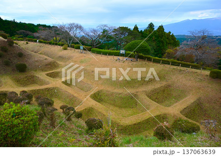 山中城 西ノ丸障子堀 三島市 山中城 西ノ丸障子堀 三島市 137063639