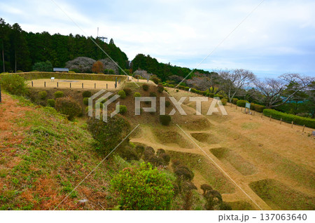 山中城 西ノ丸障子堀 三島市 山中城 西ノ丸障子堀 三島市 137063640