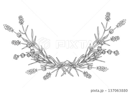 Symmetrical lavender vector floral border in clean line art style with hand drawn botanical branches and flowers. Ideal for wedding invitations, cosmetic packaging, spa branding and elegant stationery Symmetrical lavender vector floral border in clean line art style with hand drawn botanical branches and flowers. Ideal for wedding invitations, cosmetic packaging, spa branding and elegant stationery 137063880