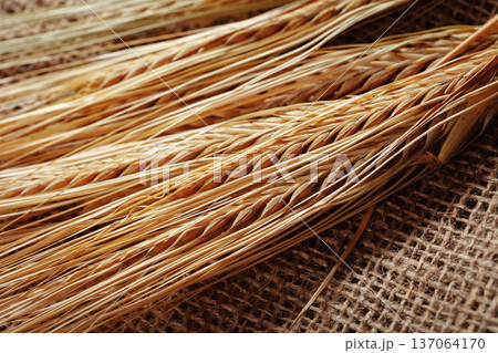 Wheat stalks arranged on a brown cloth background in a simple display Wheat stalks arranged on a brown cloth background in a simple display 137064170
