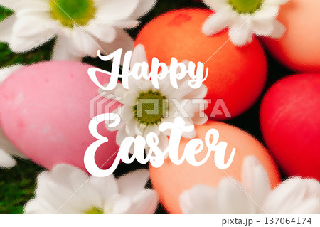 Colorful Easter eggs and flowers on a green background for celebration in spring Colorful Easter eggs and flowers on a green background for celebration in spring 137064174
