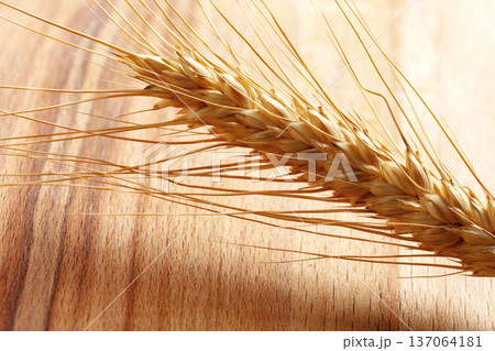 Wheat spike laying on wooden surface during natural light in a kitchen setting Wheat spike laying on wooden surface during natural light in a kitchen setting 137064181