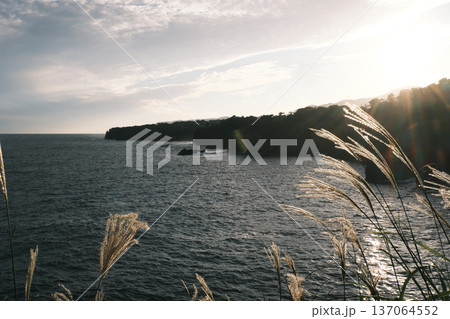 城ケ崎海岸の夕方 城ケ崎海岸の夕方 137064552