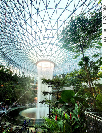 Singapore Airport Indoor Waterfall Tropical Garden View Singapore Airport Indoor Waterfall Tropical Garden View 137064562