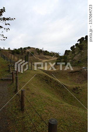 山中城 障子堀 三島市 山中城 障子堀 三島市 137064723
