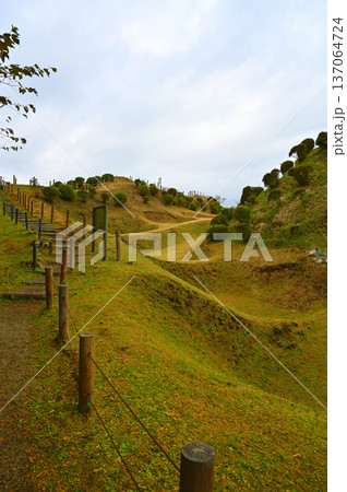 山中城　障子堀　三島市 137064724