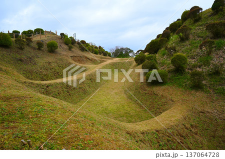 山中城 障子堀 三島市 山中城 障子堀 三島市 137064728