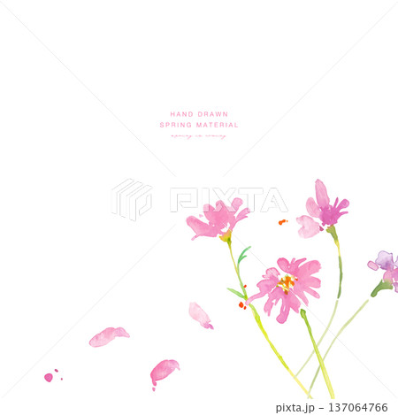 水彩画。水彩タッチの春のピンクと黄色の花イラスト。水彩のベクター植物フレーム。 水彩画。水彩タッチの春のピンクと黄色の花イラスト。水彩のベクター植物フレーム。 137064766