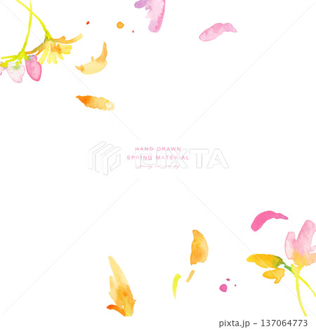 水彩画。水彩タッチの春のピンクと黄色の花イラスト。水彩のベクター植物フレーム。 水彩画。水彩タッチの春のピンクと黄色の花イラスト。水彩のベクター植物フレーム。 137064773