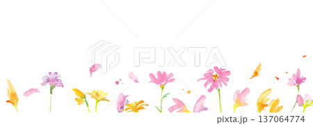 水彩画。水彩タッチの春のピンクと黄色の花イラスト。水彩のベクター植物フレーム。 137064774