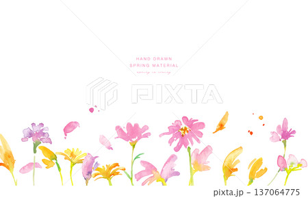 水彩画。水彩タッチの春のピンクと黄色の花イラスト。水彩のベクター植物フレーム。 水彩画。水彩タッチの春のピンクと黄色の花イラスト。水彩のベクター植物フレーム。 137064775
