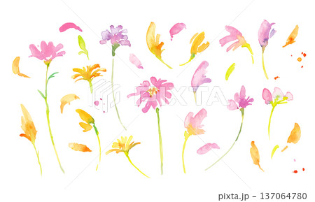 水彩画。水彩タッチの春のピンクと黄色の花イラスト。水彩のベクター植物フレーム。 水彩画。水彩タッチの春のピンクと黄色の花イラスト。水彩のベクター植物フレーム。 137064780