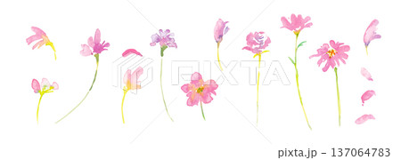 水彩画。水彩タッチの春のピンクと黄色の花イラスト。水彩のベクター植物フレーム。 137064783