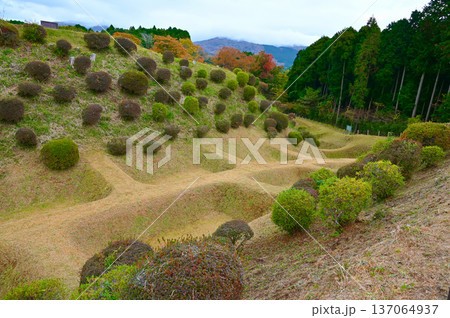 山中城 西ノ丸障子堀 三島市 山中城 西ノ丸障子堀 三島市 137064937