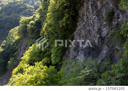 三重県　松阪市　道の駅　茶倉駅　茶倉橋から望む風景 137065205