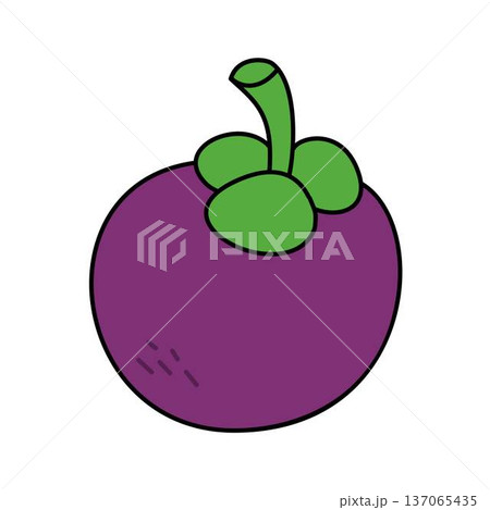 mangosteen fruit illustration mangosteen fruit illustration 137065435