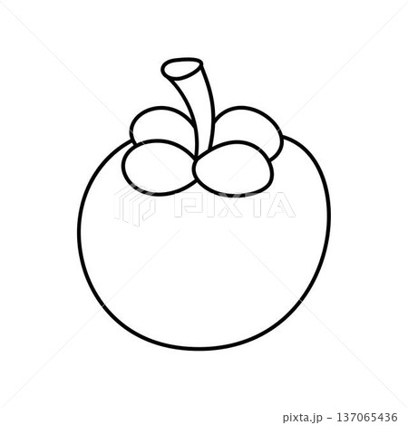 mangosteen outline fruit illustration mangosteen outline fruit illustration 137065436