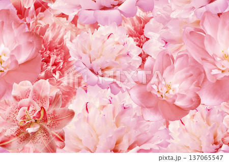 Seamless floral background. Flowers peonies and petals peonies. Close up. Seamless floral background. Flowers peonies and petals peonies. Close up. 137065547