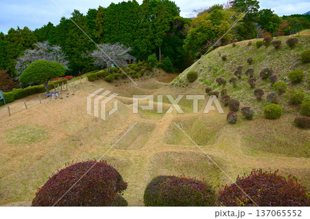 山中城 西ノ丸障子堀 三島市 山中城 西ノ丸障子堀 三島市 137065552