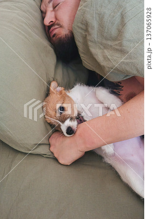Man sleeping in bed with playful puppy. Pet owner bonding with dog. Man sleeping in bed with playful puppy. Pet owner bonding with dog. 137065928
