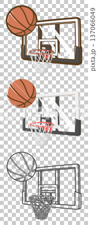 Basketball and basketball goal (transparent board) 137066049