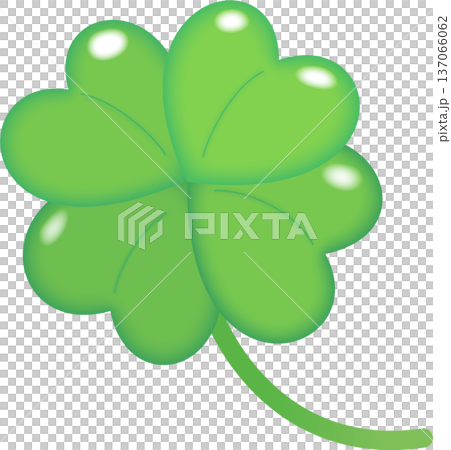 四つ葉のクローバー　一本　グリーン 137066062