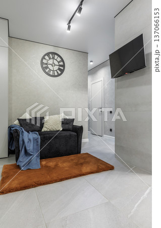 Modern Living Room Interior with TV and Orange Rug 137066153
