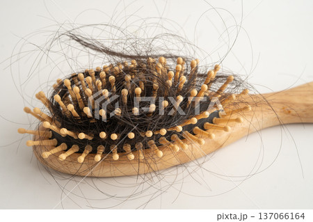 Hair loss fall with comb bush serious problem health, beauty and cosmetic. 137066164