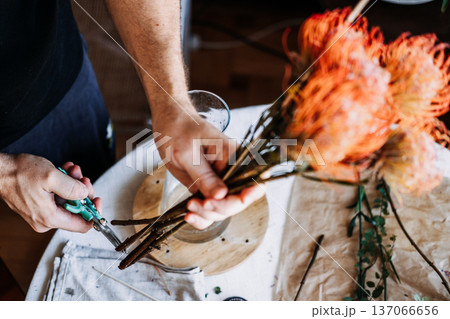 Hands trim stem of orange pincushion protea before placing it into glass vase. artisanal floral craft, luxury home accents, high-end floristry, unique interior styling 137066656