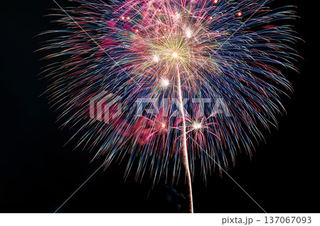 秋田 大曲の花火 137067093