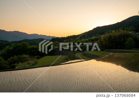 三重県　松阪市　深野のだんだん田の夕景 137068084