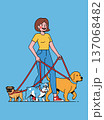 Woman walking three dogs 137068482
