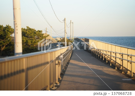 夕暮れ時の海へ続く歩道 137068728