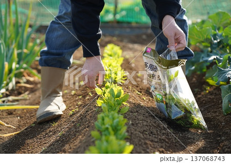 土と植物に触れる暮らしのイメージ 137068743