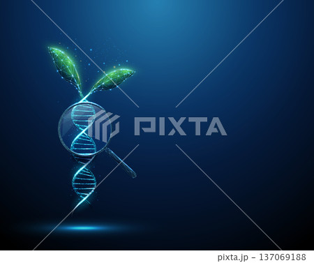 Green plant leaves growing from a blue 3D DNA helix under a magnifying glass. Plant genetics, crop improvement, molecular biology concept. Green plant leaves growing from a blue 3D DNA helix under a magnifying glass. Plant genetics, crop improvement, molecular biology concept. 137069188