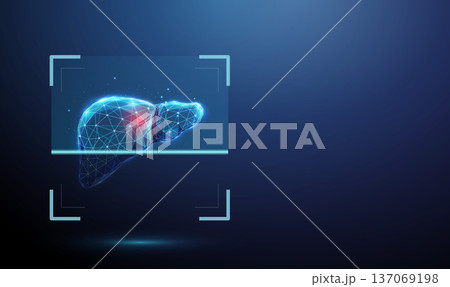 3d blue human liver inside digital scanning frame with and red spot. Hepatic examination, lesion detection, liver disease identification, tissue abnormality screening concept. 137069198