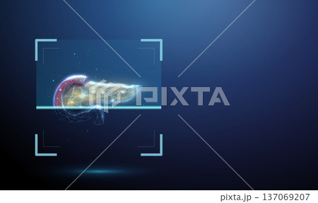 3d human pancreas inside digital scanning frame. Pancreatic examination, organ function analysis, endocrine and digestive system diagnostics, clinical evaluation concept. 137069207