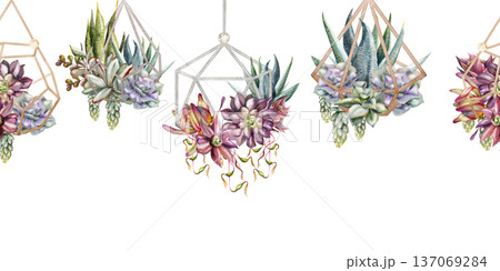 Assorted succulent gardens in metal wireframe geometric terrarium planters. Isolated illustration hand drawn in watercolor. Seamless banner for eco startup websites, interior design, web headers. 137069284