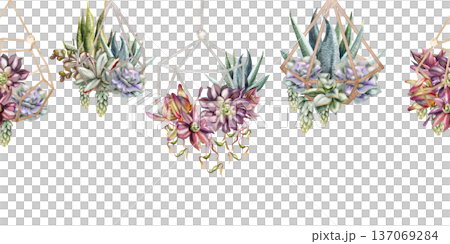 Assorted succulent gardens in metal wireframe geometric terrarium planters. Isolated illustration hand drawn in watercolor. Seamless banner for eco startup websites, interior design, web headers. 137069284