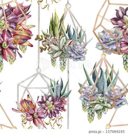 Geometric wire planters with mixed succulent plant gardens, hanging terrarium compositions. Isolated illustration hand drawn in watercolor. Seamless pattern for spa brochures, product wrap packaging. 137069285