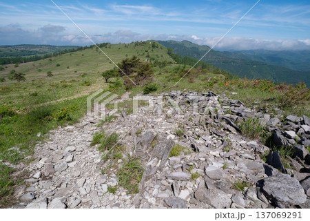 爽やかな高原 霧ヶ峰高原 爽やかな高原 霧ヶ峰高原 137069291