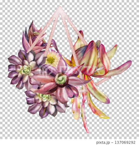 Rosette succulents, hanging cacti shoots in metal wireframe planter, diamond pyramid shape. Isolated illustration hand drawn in watercolor for modern logos, eco branding, spa and wellness identity. 137069292
