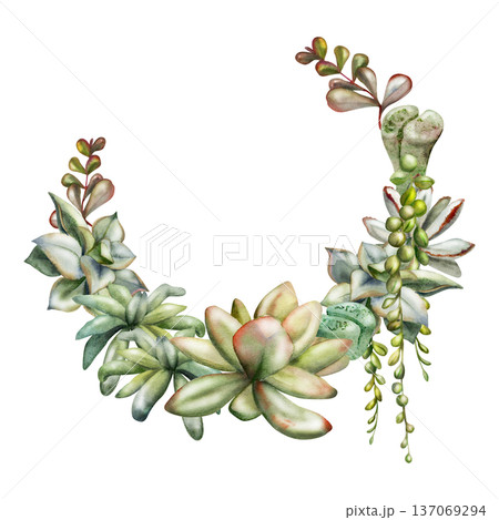 Echeveria, sedum, kalanchoe rosette and trailing succulent vines. Isolated illustration hand drawn in watercolor. Botanical wreath frame for wedding stationery, eco logos, wellness brand identity. 137069294